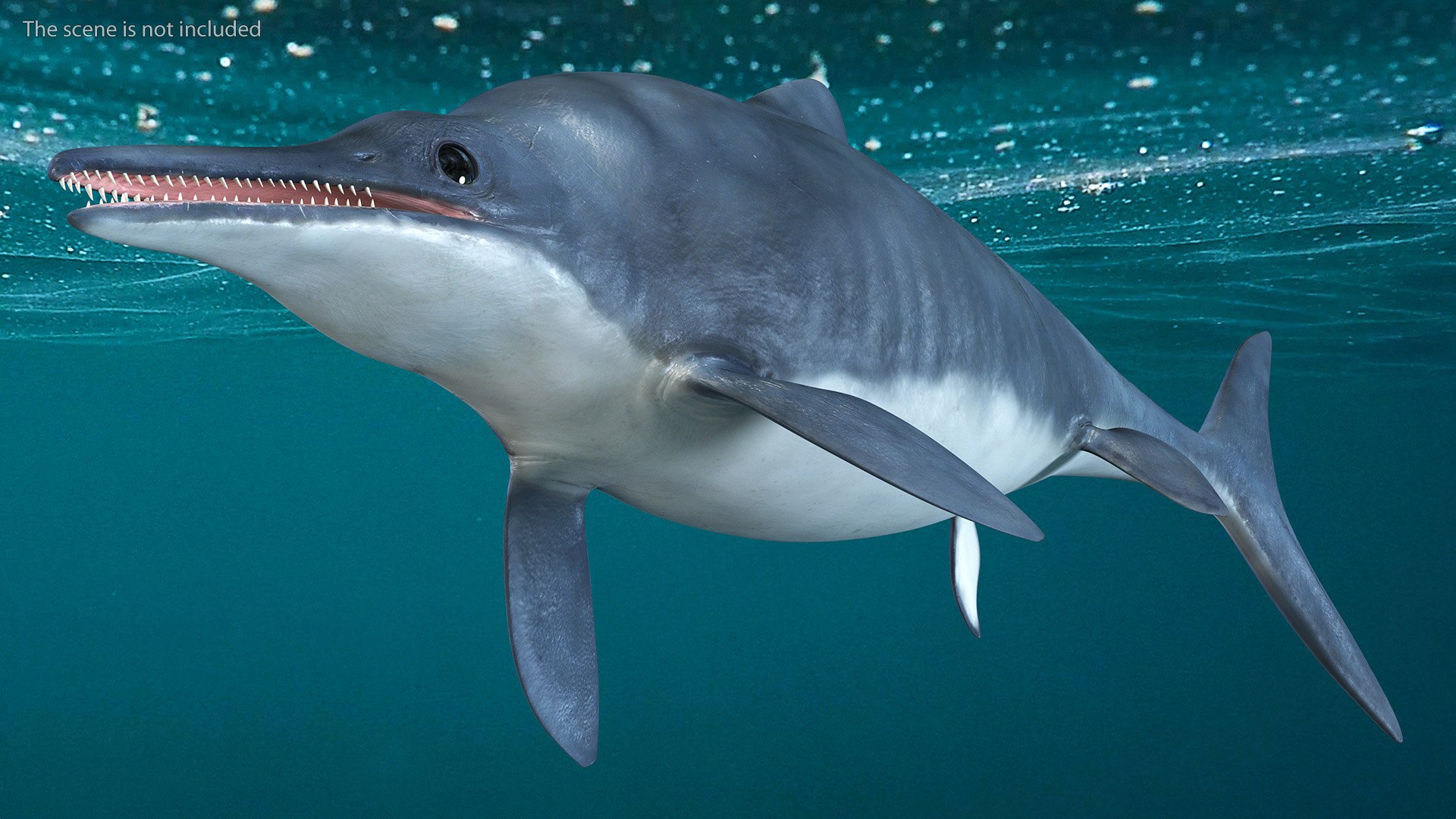 Ichthyosaur Rigged For Maya 3D Model - TurboSquid 2095497