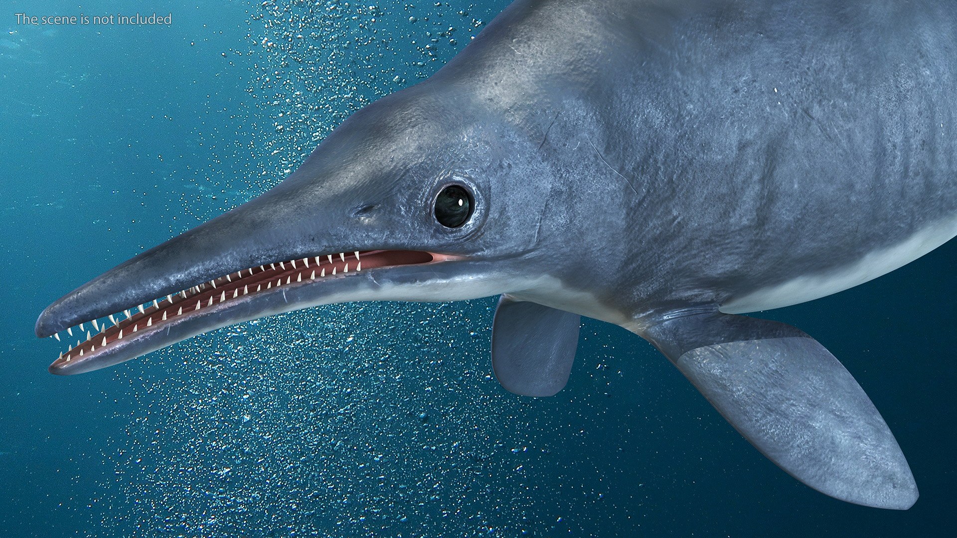 Ichthyosaur Rigged For Maya 3D Model - TurboSquid 2095497