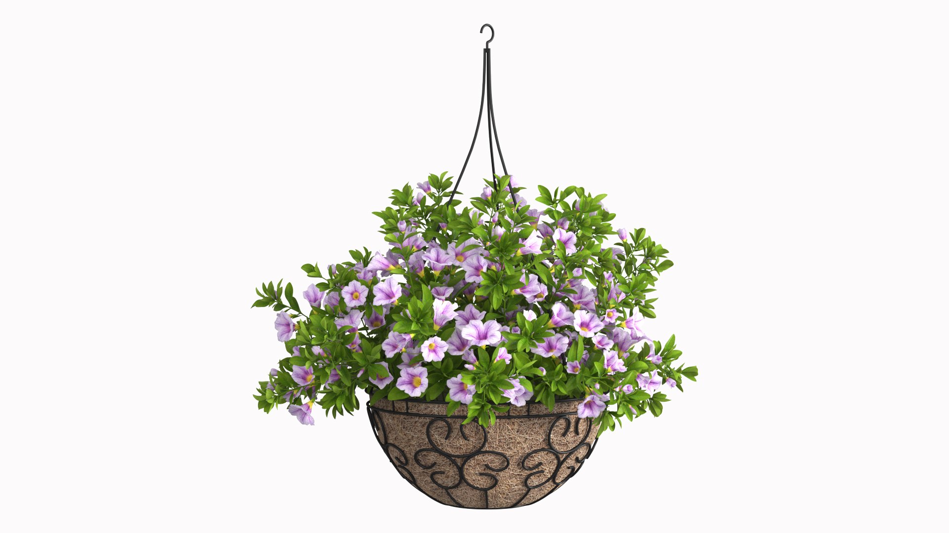 3D Petunia Hanging Basket Light Purple https://p.turbosquid.com/ts-thumb/K9/7GPRrB/Jr/petunia_hanging_basket_light_purple_002/jpg/1773701559/1920x1080/fit_q87/f58d0be7ceb12484607e898e6dead76ef2b35b19/petunia_hanging_basket_light_purple_002.jpg