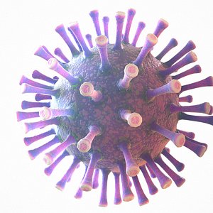 modeled coronavirus covid 19 model