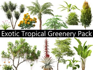 Exotic Tropical Greenery Pack 36 model