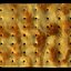 cookies cracker obj