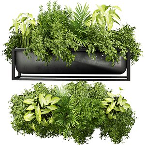 3D model Collection plant vol 984 V-ray 6 max 2015