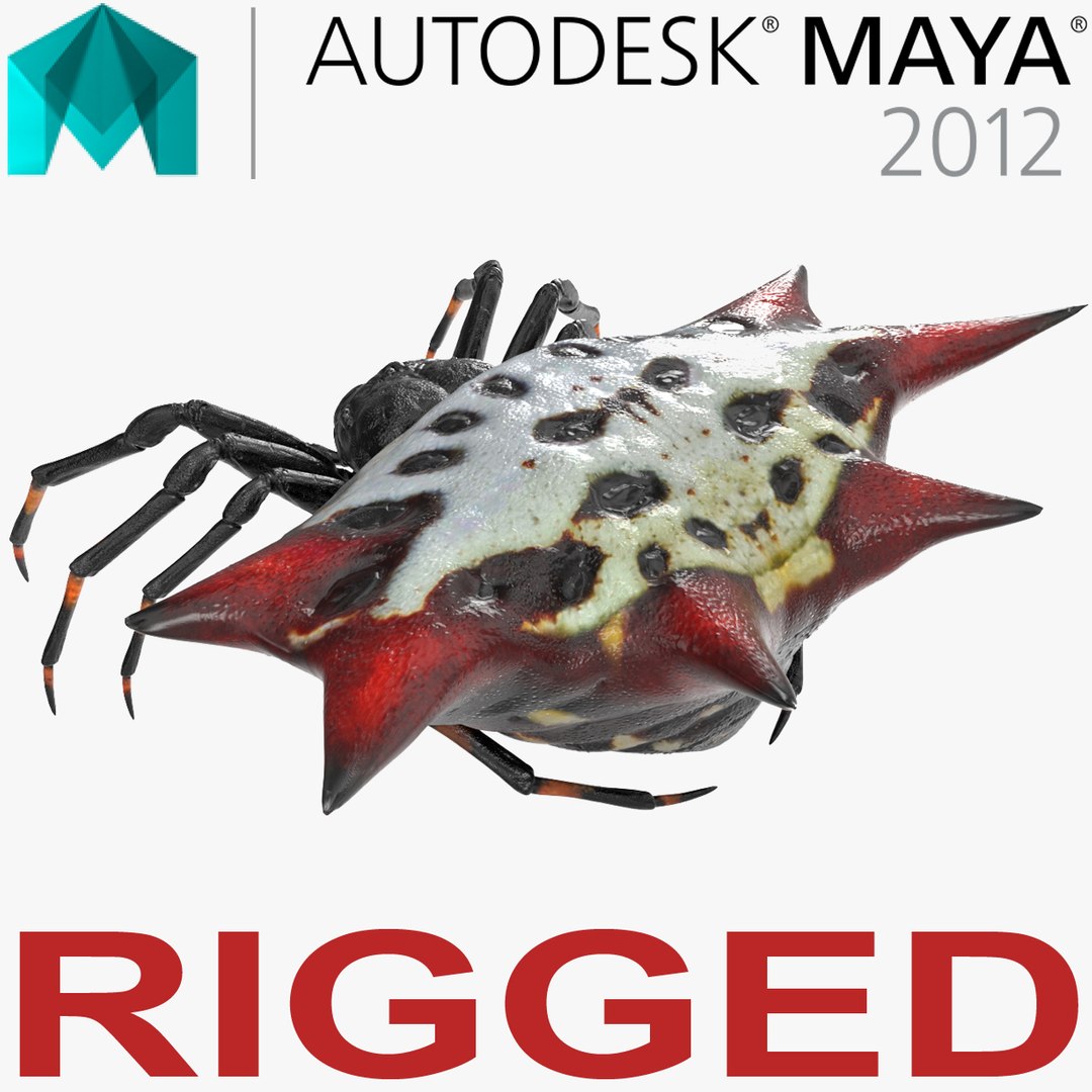 Orb-Weaver Spinneret (Blue) | The Hunted | Star City Games