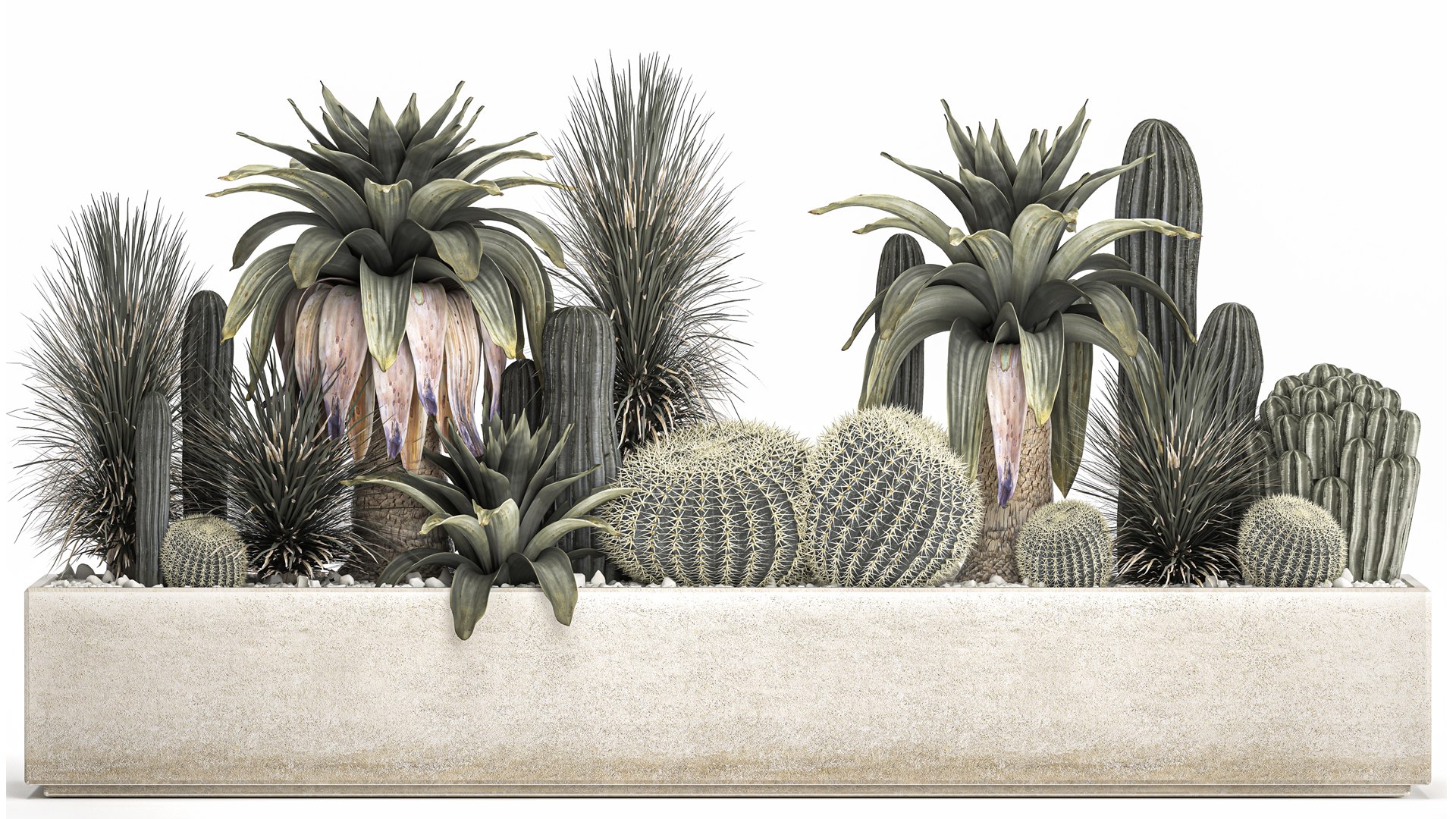 3D Cactus set in a concrete flowerpot for the interior 1100 model https://p.turbosquid.com/ts-thumb/K9/gSijqF/71/1cactusset1401202202/jpg/1642253650/1920x1080/fit_q87/c34fe5db92a6366599791aa9ef69a0204beed4b6/1cactusset1401202202.jpg