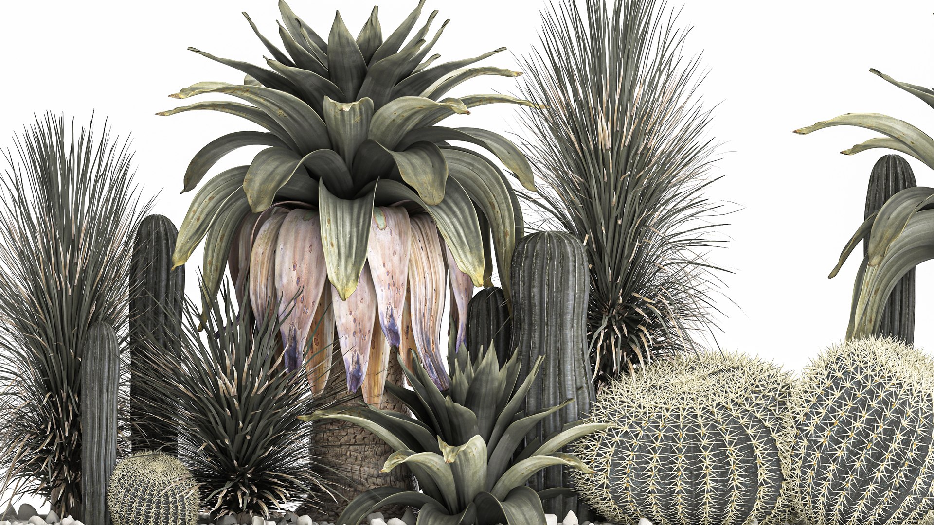 3D Cactus set in a concrete flowerpot for the interior 1100 model https://p.turbosquid.com/ts-thumb/K9/gSijqF/I1/1cactusset1401202203/jpg/1642253650/1920x1080/fit_q87/3ae2c190dda84c3eb06d3e846b2c8072c0a8678a/1cactusset1401202203.jpg