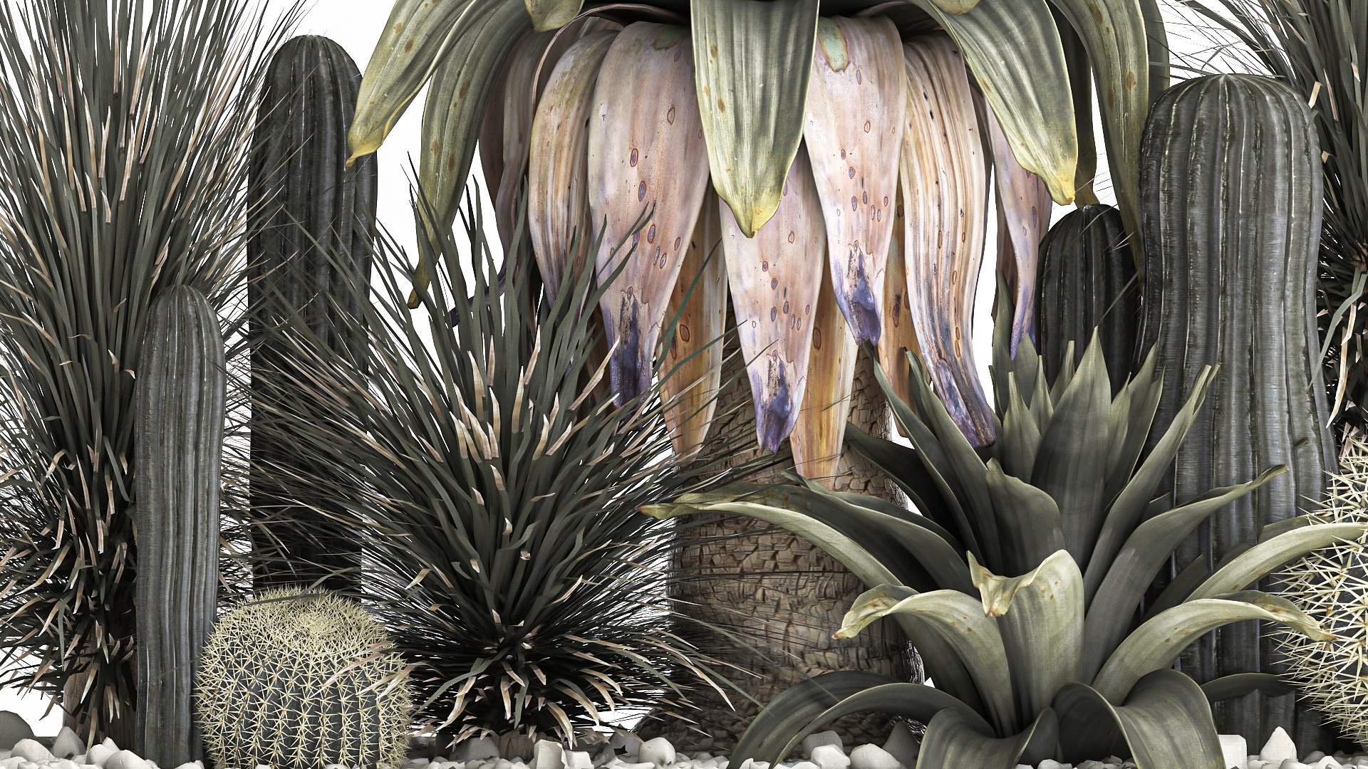 3D Cactus set in a concrete flowerpot for the interior 1100 model https://p.turbosquid.com/ts-thumb/K9/gSijqF/cK/1cactusset1401202206/jpg/1642253654/1920x1080/fit_q87/72463c2397792459e3e3ae4fa49a99c38e8d427b/1cactusset1401202206.jpg