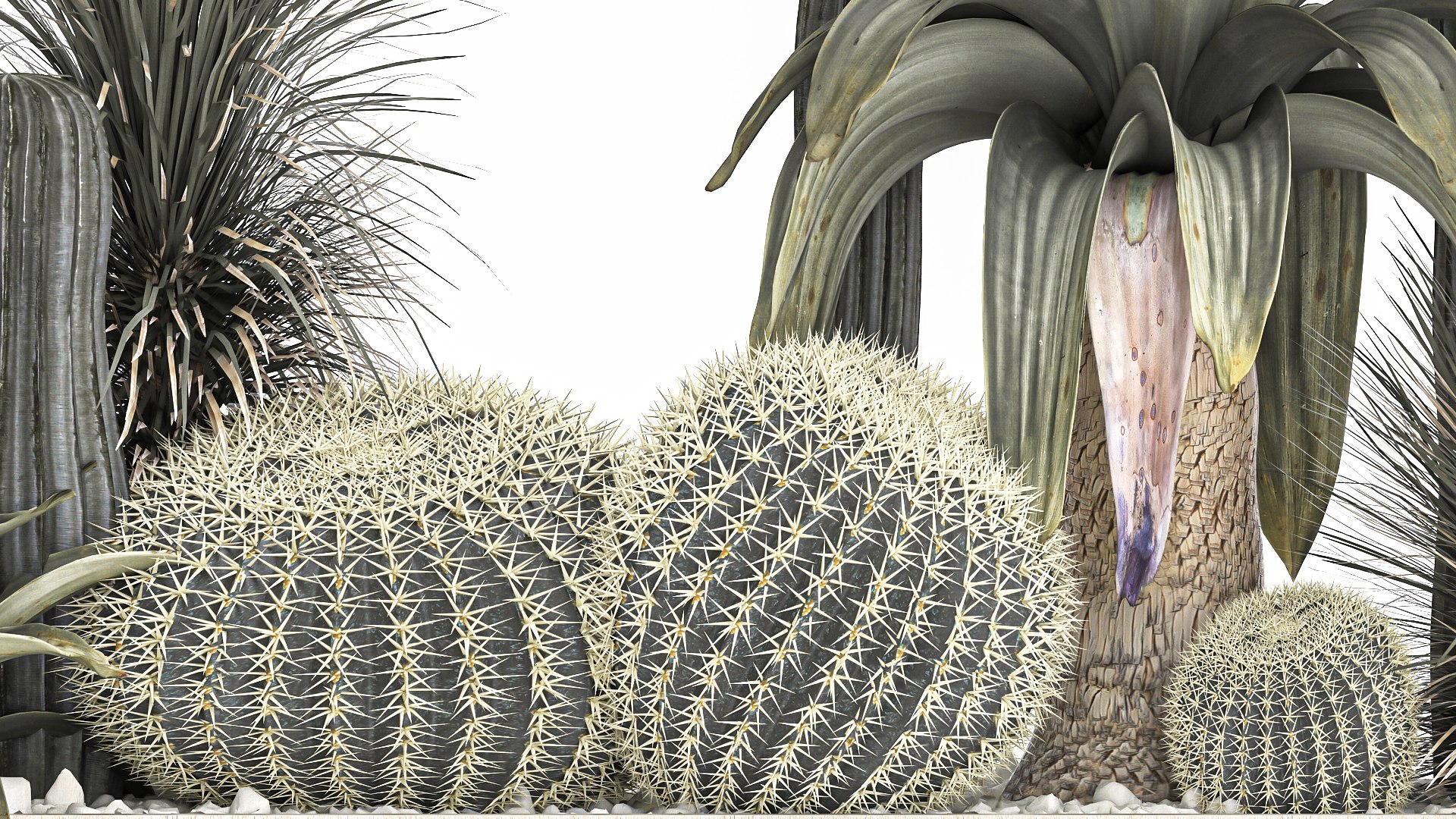 3D Cactus set in a concrete flowerpot for the interior 1100 model https://p.turbosquid.com/ts-thumb/K9/gSijqF/io/1cactusset1401202205/jpg/1642253656/1920x1080/fit_q87/4799140f699902d5a9523e3a68e90e4f92ab9d55/1cactusset1401202205.jpg