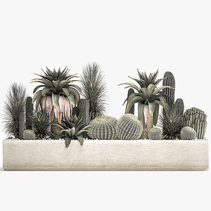 3D Cactus set in a concrete flowerpot for the interior 1100 model