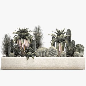 Cactus set in a concrete flowerpot for the interior 1100