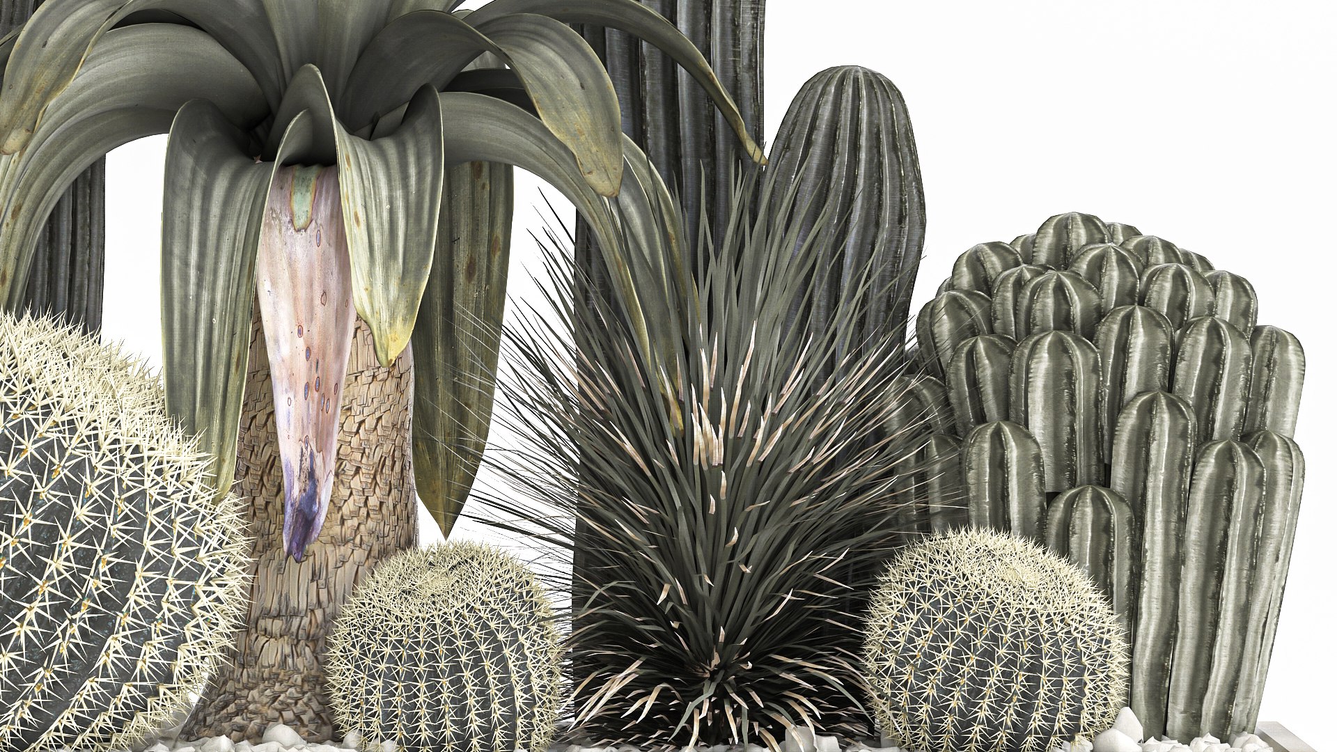 3D Cactus set in a concrete flowerpot for the interior 1100 model https://p.turbosquid.com/ts-thumb/K9/gSijqF/n7/1cactusset1401202204/jpg/1642253653/1920x1080/fit_q87/c1f66c87b9ba3d84ac32a04f5aab11d524bc7600/1cactusset1401202204.jpg