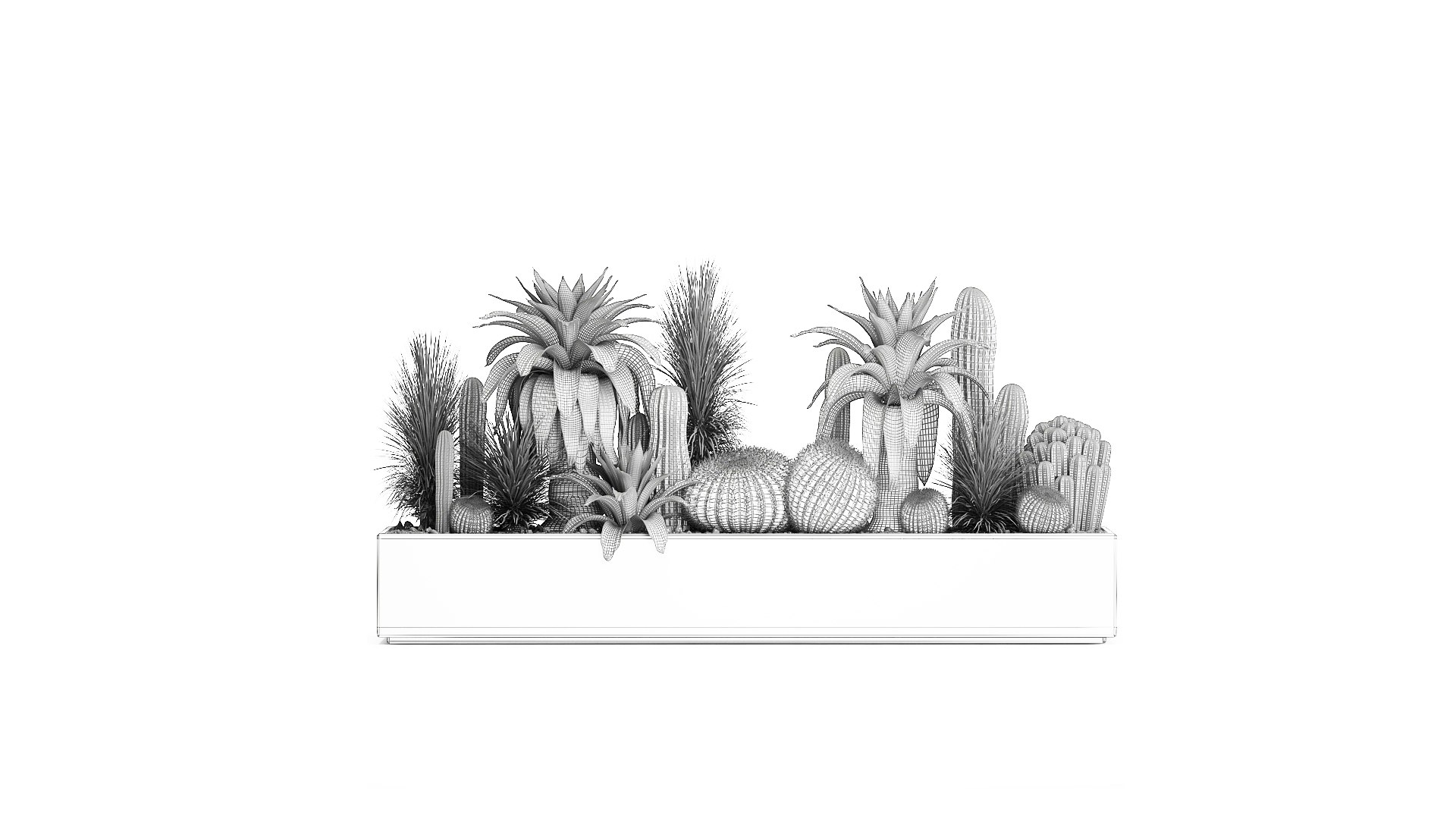 3D Cactus set in a concrete flowerpot for the interior 1100 model https://p.turbosquid.com/ts-thumb/K9/gSijqF/sE/1cactusset1401202209/jpg/1642253650/1920x1080/fit_q87/b3b01f1e5046bb3908babce2e2c64ad32fccc944/1cactusset1401202209.jpg