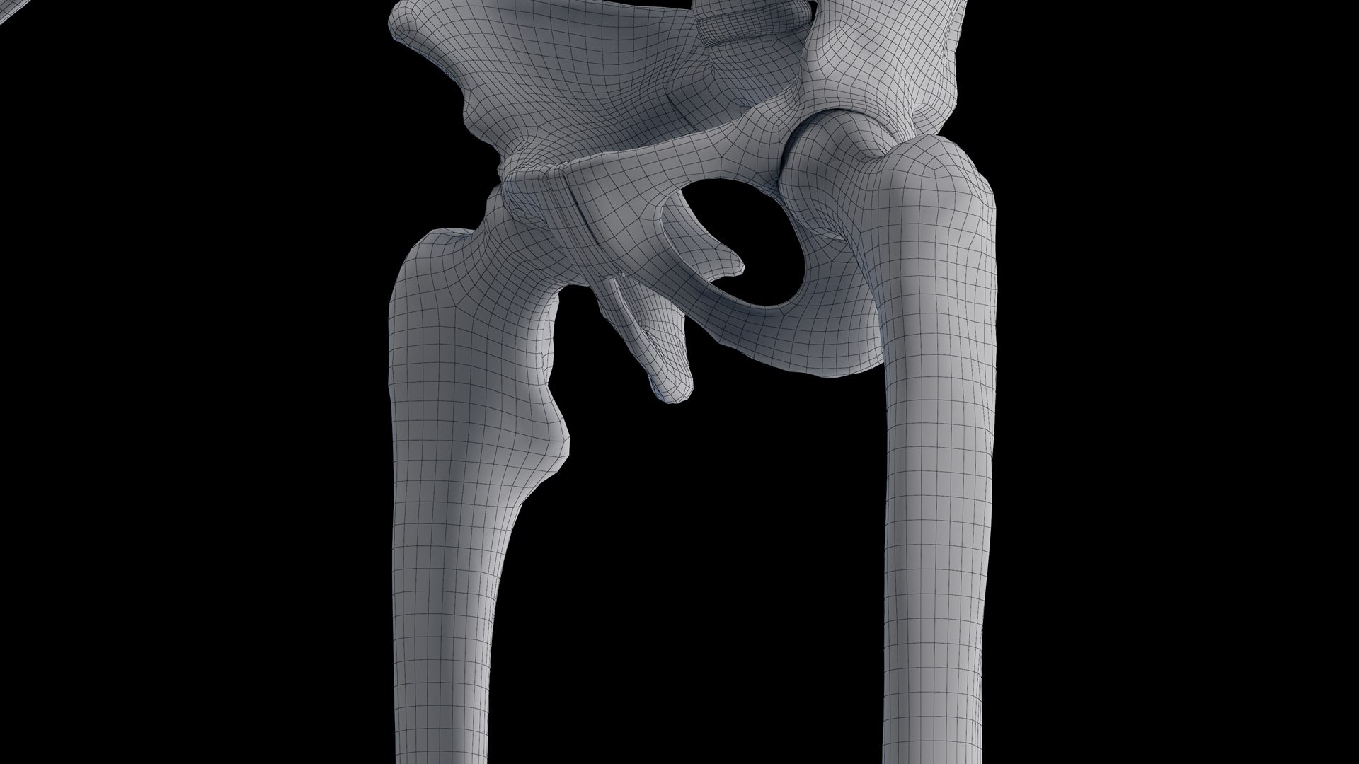 3D Male Body Skeleton and Muscles Static model https://p.turbosquid.com/ts-thumb/K9/oRfuIx/J7/male_skeleton_wire0011/jpg/1673891338/1920x1080/fit_q87/8d127619462ee9fe5046a2803aaf25a1a7edb9a5/male_skeleton_wire0011.jpg