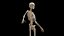 Male Body Skeleton and Muscles Static