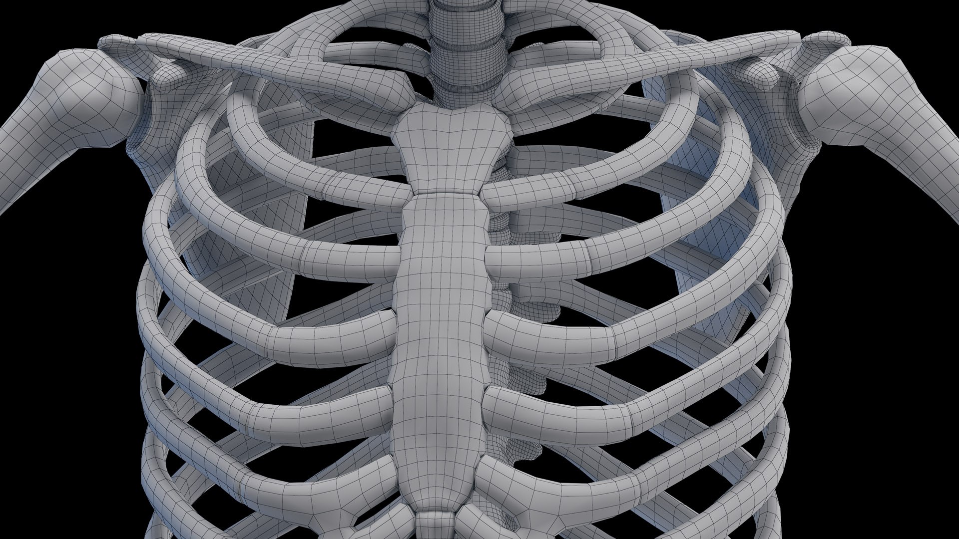 3D Male Body Skeleton and Muscles Static model https://p.turbosquid.com/ts-thumb/K9/oRfuIx/cg/male_skeleton_wire0003/jpg/1673891341/1920x1080/fit_q87/0da036894635c022dc68b3a1183115dc37d898af/male_skeleton_wire0003.jpg