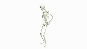 Skeleton Golf Putt Victory 3D model