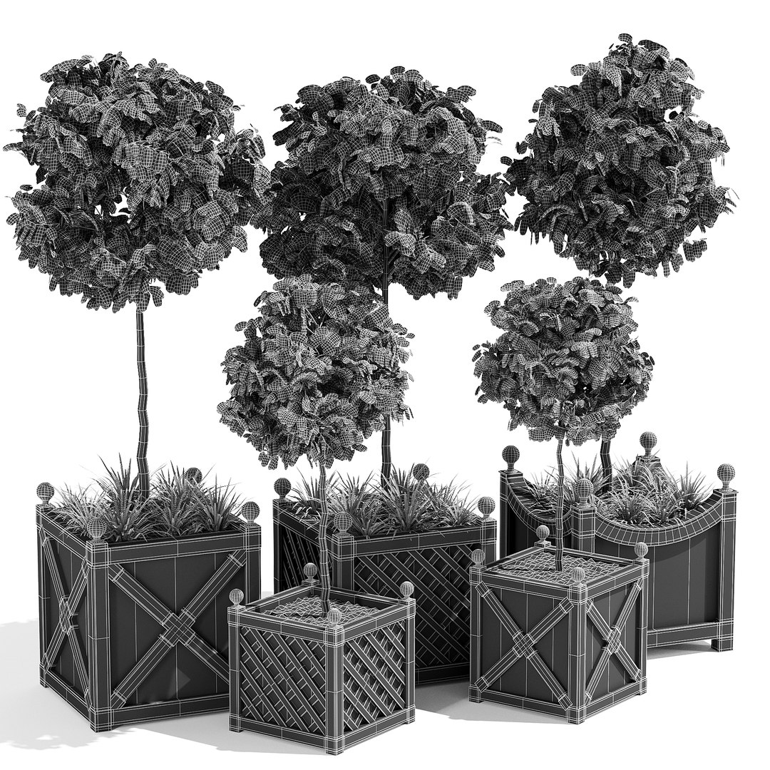 3D treillage tree https://p.turbosquid.com/ts-thumb/K9/rpTTwE/NKMUkMQt/rp_55/jpg/1546886046/1920x1080/fit_q87/74ef97592ff62467a61388e8171e0b54bb0f7931/rp_55.jpg