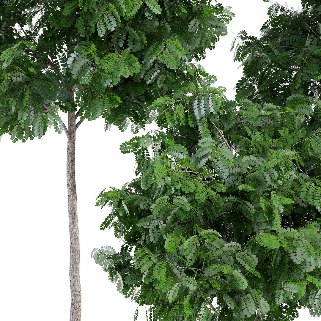 3D treillage tree https://p.turbosquid.com/ts-thumb/K9/rpTTwE/mu5iXIcN/rp_6/jpg/1546886034/1920x1080/fit_q87/ec54120449ed921568c15ca296dfa450a020a2e2/rp_6.jpg