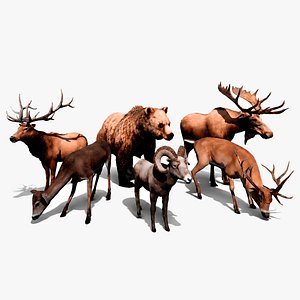 Realistic Animals PACK 3D model