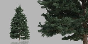 3D pack pine trees nature model
