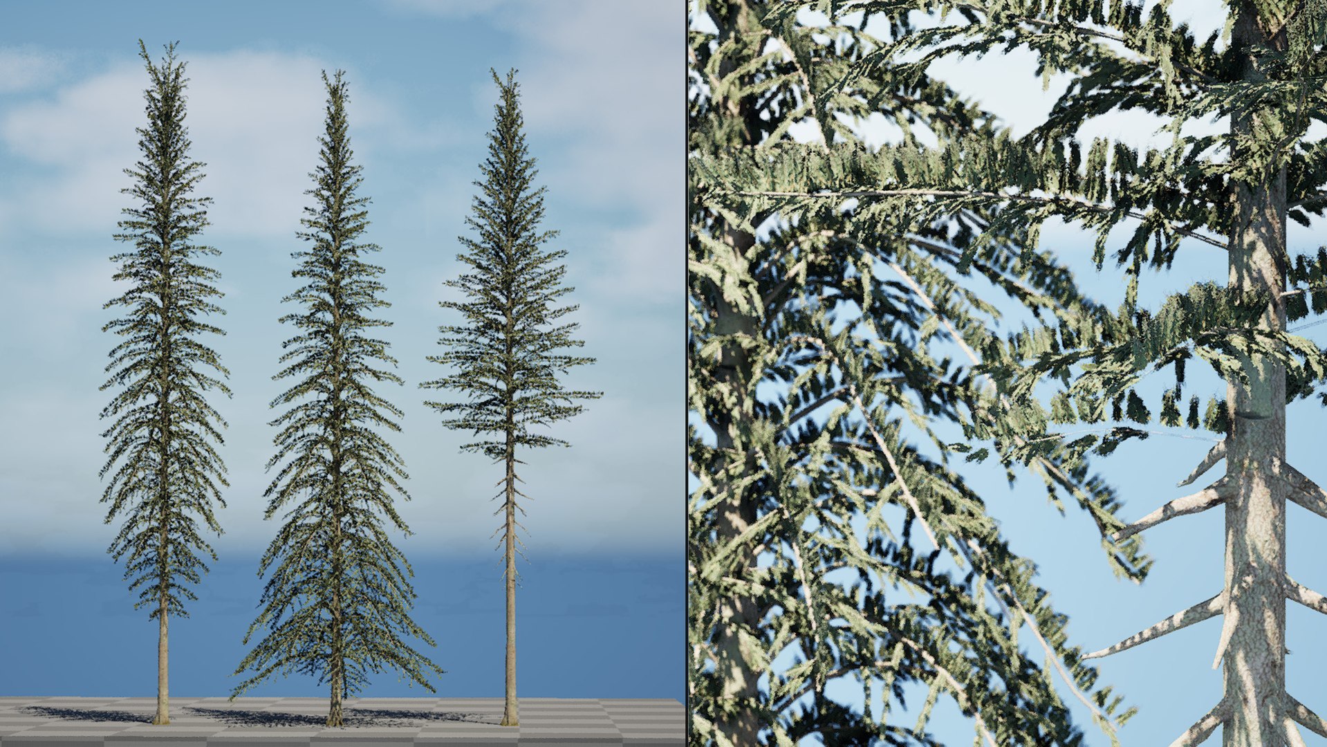 High-Detail Spruce Models 3D - TurboSquid 2264988