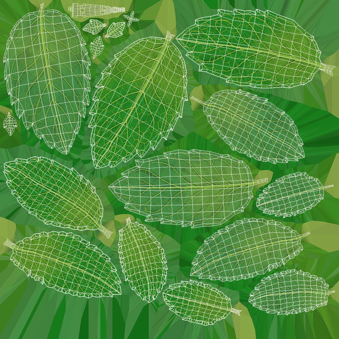 3D Patron Reposado Tequila Smash with Mint and Lime Gold https://p.turbosquid.com/ts-thumb/KA/d5wJpa/3n/patron_reposado_tequila_smash_with_mint_and_lime_gold_016/jpg/1773193306/1920x1080/fit_q87/6c58d81736106d59d1da5bd408dda6d14281119d/patron_reposado_tequila_smash_with_mint_and_lime_gold_016.jpg
