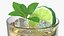 Patron Reposado Tequila Smash with Mint and Lime Gold