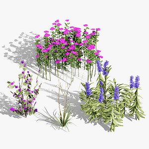3D Bergamot and Salvia Wildflower Asset Pack