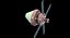 Sistema de lanzamiento espacial SLS