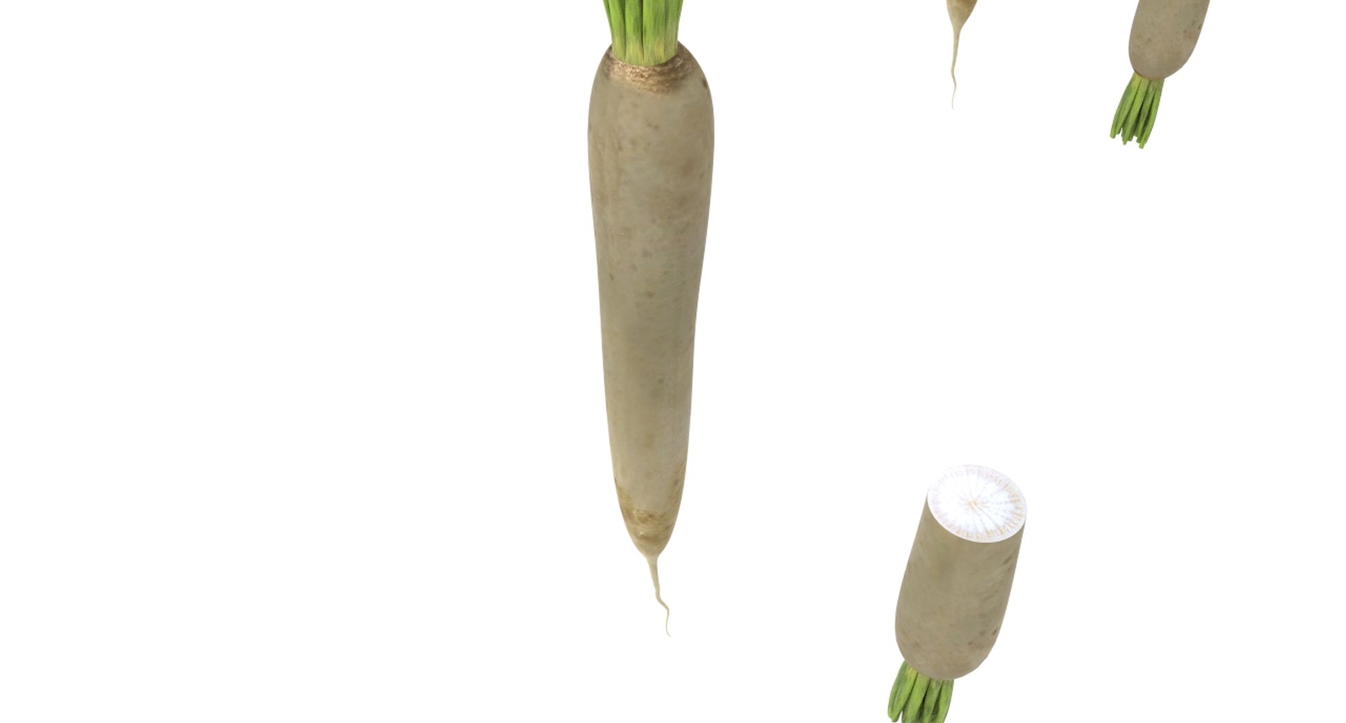 radish white 3D https://p.turbosquid.com/ts-thumb/KB/3r8uAf/7MS6AgDt/radish_white17/jpg/1589684037/1920x1080/fit_q87/5c69a447cb52532cee46b72234ecd840cd1a59ba/radish_white17.jpg