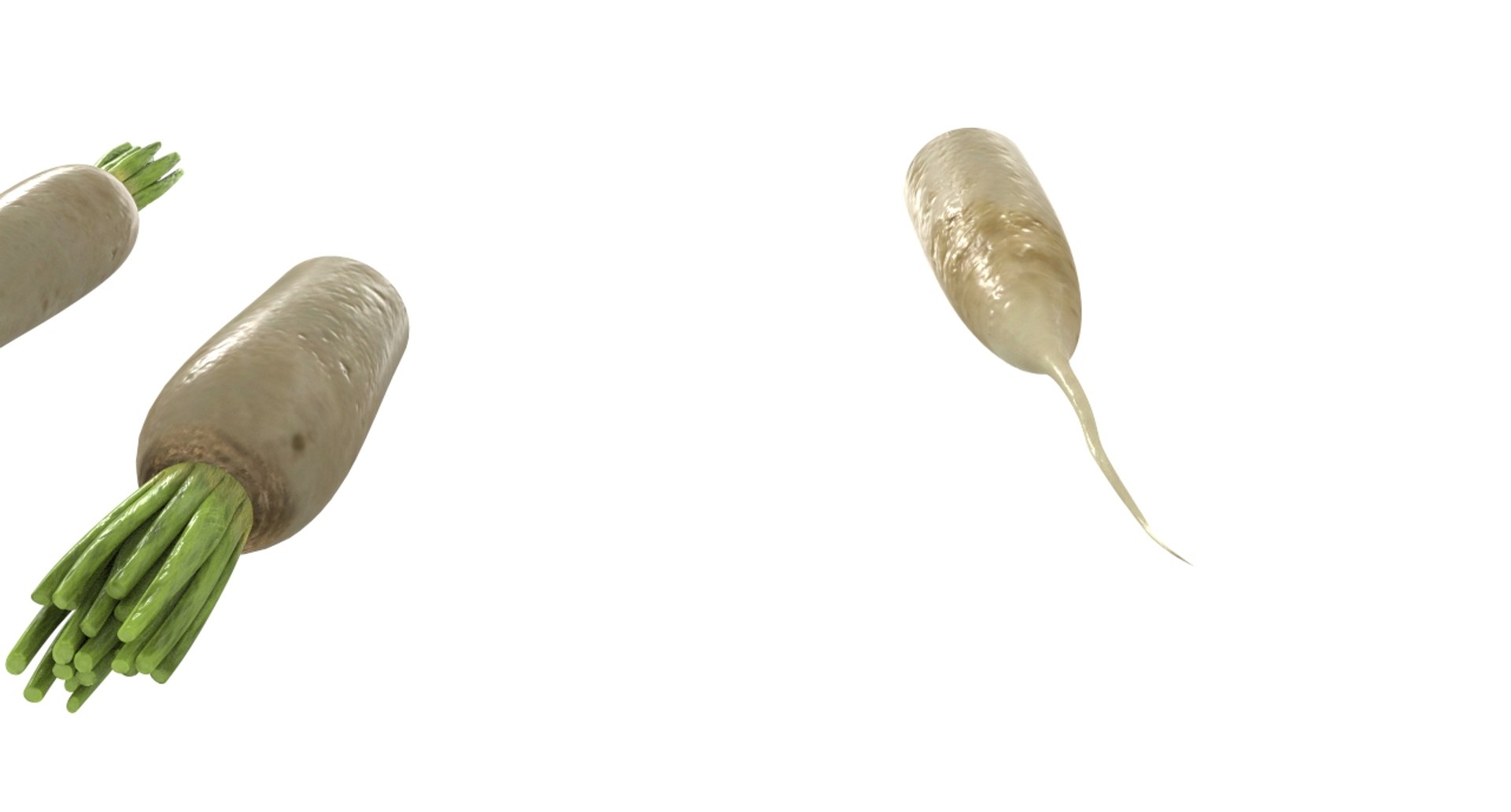 radish white 3D https://p.turbosquid.com/ts-thumb/KB/3r8uAf/F3iImtyq/radish_white20/jpg/1589684037/1920x1080/fit_q87/e5849234f1c338372c1ff2ba7c72f9f7b95b8857/radish_white20.jpg