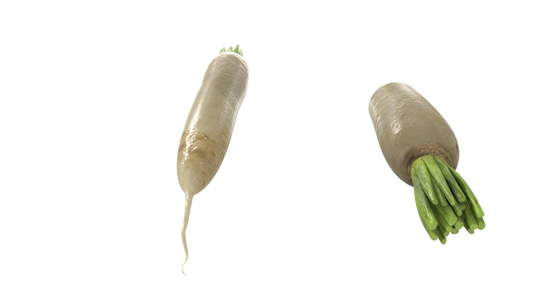 radish white 3D https://p.turbosquid.com/ts-thumb/KB/3r8uAf/avZp6eFX/radish_white19/jpg/1589684037/1920x1080/fit_q87/a58b17dfd015b2f7b2ea9142b7347104dc688e78/radish_white19.jpg