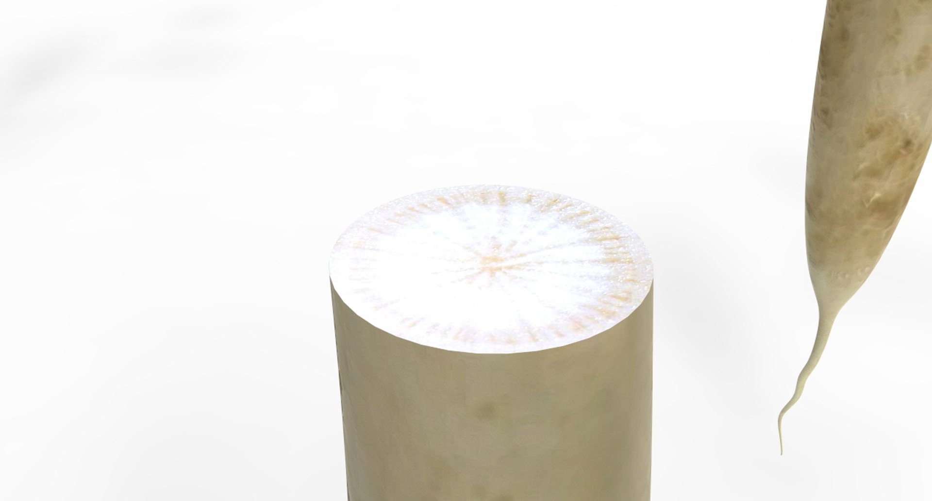 radish white 3D https://p.turbosquid.com/ts-thumb/KB/3r8uAf/m6QdB5y6/radish_white6/jpg/1589684036/1920x1080/fit_q87/f205022541a25ca7e0a9fcfdc46dc0ed484ebef1/radish_white6.jpg