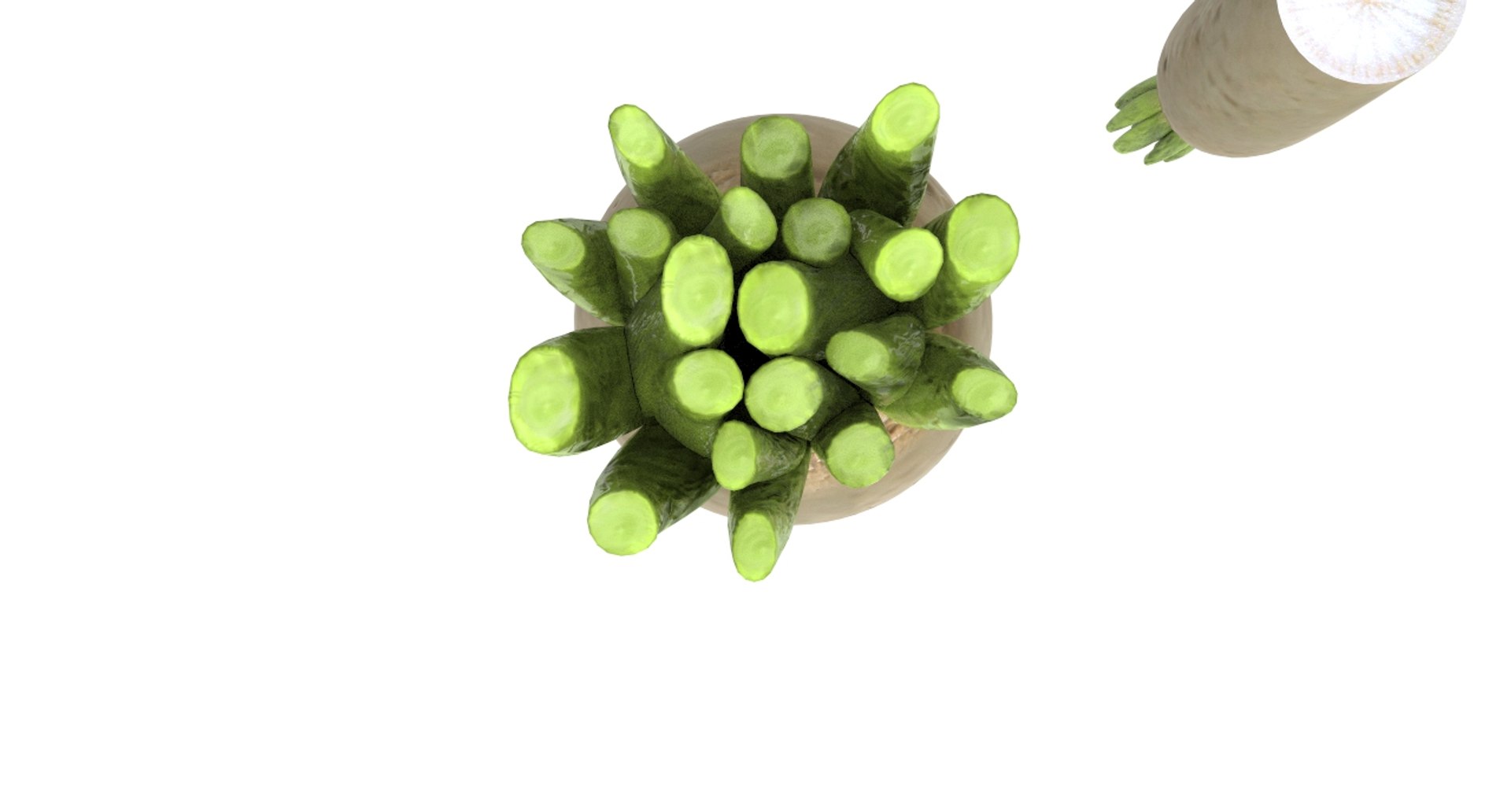 radish white 3D https://p.turbosquid.com/ts-thumb/KB/3r8uAf/qPEj4WoA/radish_white12/jpg/1589684037/1920x1080/fit_q87/35f35837d2404be0fc5a7e00d65e518b619a8801/radish_white12.jpg