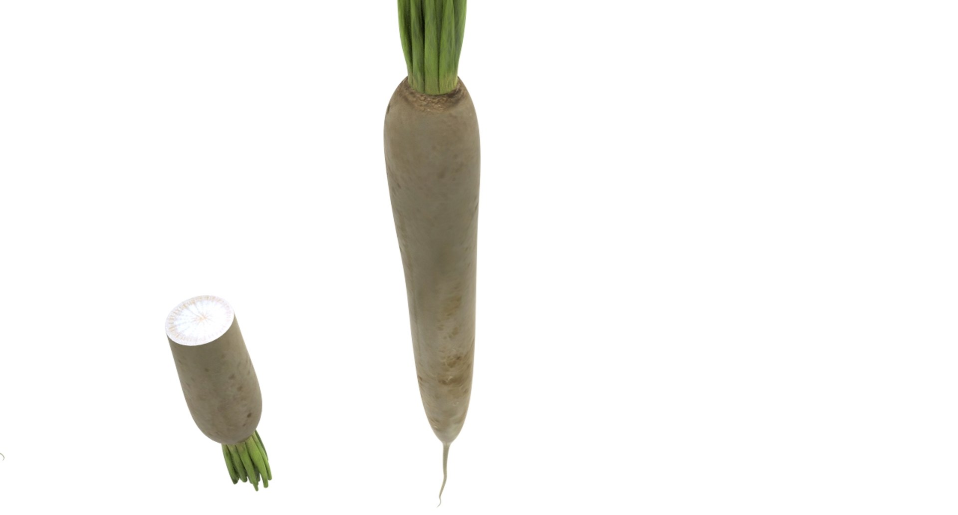 radish white 3D https://p.turbosquid.com/ts-thumb/KB/3r8uAf/sKLyABRn/radish_white16/jpg/1589684037/1920x1080/fit_q87/831295bde5032fe6f706f1de7fb0d1a6763f90f9/radish_white16.jpg