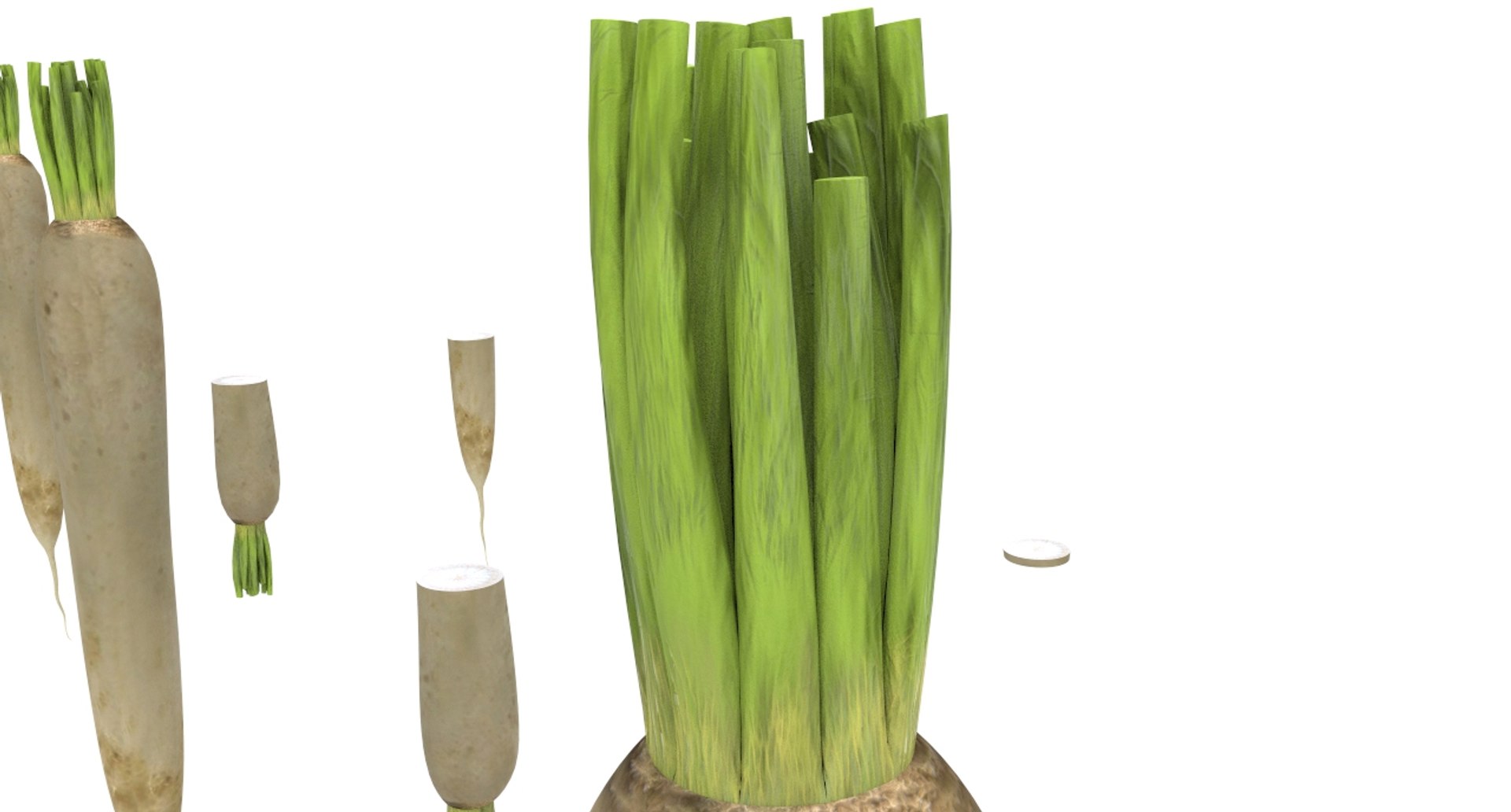 radish white 3D https://p.turbosquid.com/ts-thumb/KB/3r8uAf/unrSNJDs/radish_white14/jpg/1589684037/1920x1080/fit_q87/de8eb74af5fff62195616ee63b8dbb8741b90ce4/radish_white14.jpg