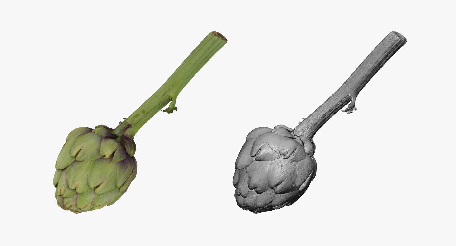 Artichokes Collection 01 - 2 models RAW Scans model https://p.turbosquid.com/ts-thumb/KB/4aPQVk/C2/artichoke_02_thumbnail_05.jpg66d2208ed9b74e488209a29fa76c9cc2zoom/jpg/1641479908/1920x1080/fit_q87/4b47d33e27b11ce14f5fd2abe118063e73eb87c2/artichoke_02_thumbnail_05.jpg66d2208ed9b74e488209a29fa76c9cc2zoom.jpg