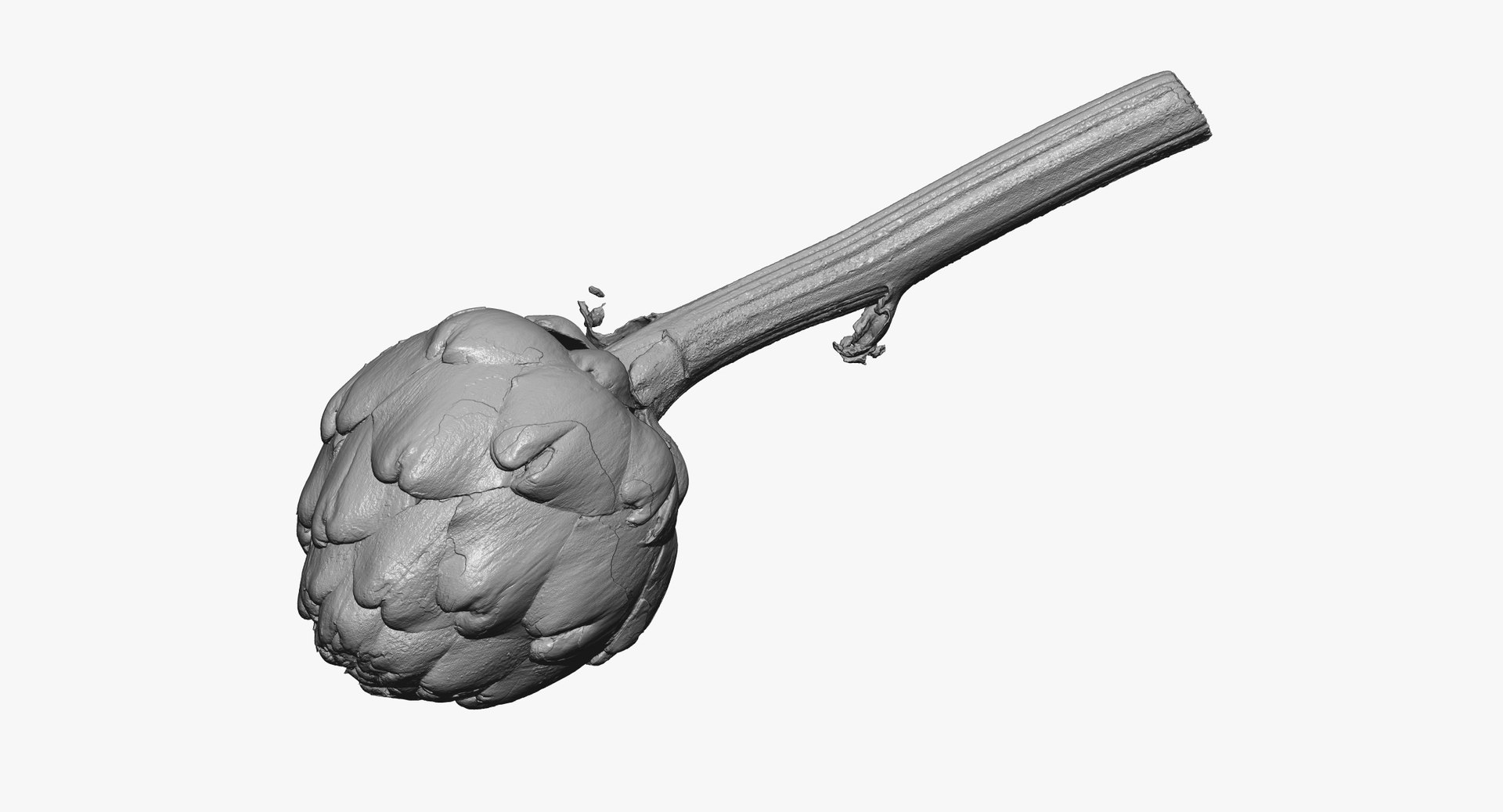 Artichokes Collection 01 - 2 models RAW Scans model https://p.turbosquid.com/ts-thumb/KB/4aPQVk/Fc/artichoke_02_thumbnail_02.jpg4b4f1be509784a8d90eae76b0de423d6zoom/jpg/1641479877/1920x1080/fit_q87/ec8bc99240ebb2163818e95ff66287b4579304fd/artichoke_02_thumbnail_02.jpg4b4f1be509784a8d90eae76b0de423d6zoom.jpg