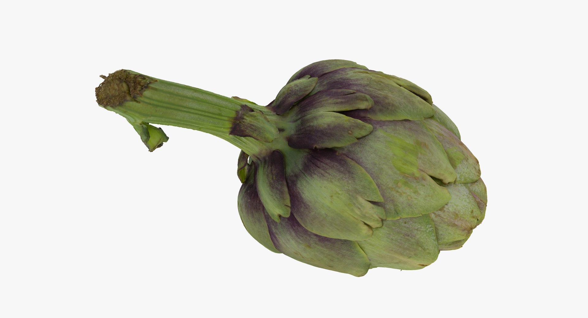 Artichokes Collection 01 - 2 models RAW Scans model https://p.turbosquid.com/ts-thumb/KB/4aPQVk/Fn/artichoke_01_thumbnail_04.jpg083300e5b45345ada59e798959144647zoom/jpg/1641479784/1920x1080/fit_q87/7368af0853983900ed32e9d0130bd3709710ed6a/artichoke_01_thumbnail_04.jpg083300e5b45345ada59e798959144647zoom.jpg
