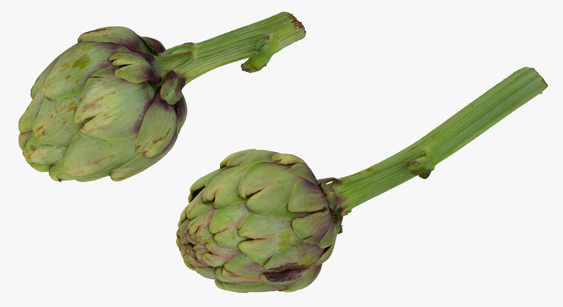 Artichokes Collection 01 - 2 models RAW Scans model https://p.turbosquid.com/ts-thumb/KB/4aPQVk/Ie/32a/jpg/1641479781/1920x1080/fit_q87/487fecd905d81115fc1621d47afa656f4a3d42db/32a.jpg