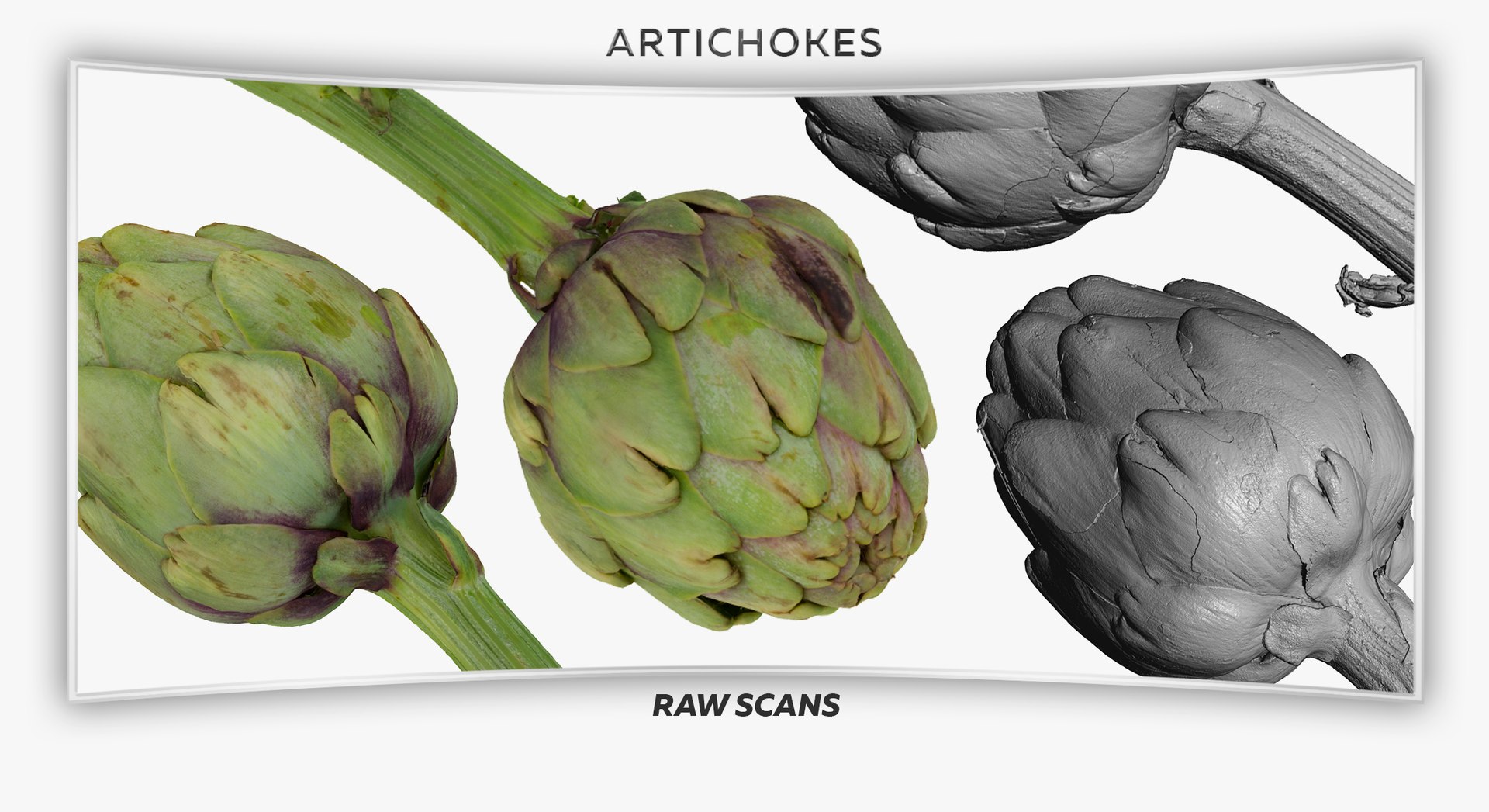 Artichokes Collection 01 - 2 models RAW Scans model https://p.turbosquid.com/ts-thumb/KB/4aPQVk/jb/116ts/jpg/1641479782/1920x1080/fit_q87/c4767e3b059234bc7ed88fe070f40e19a5f55021/116ts.jpg