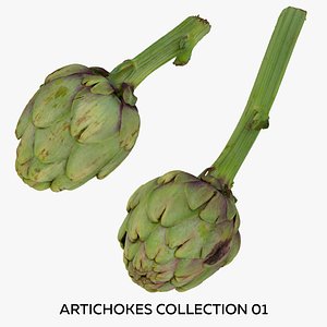 Artichokes Collection 01 - 2 models RAW Scans