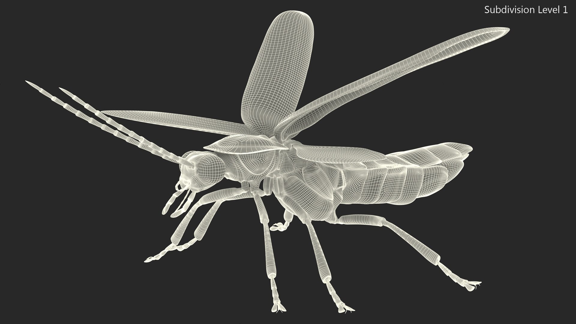 Eastern Firefly Glowing Basic Pose Model - TurboSquid 2170447