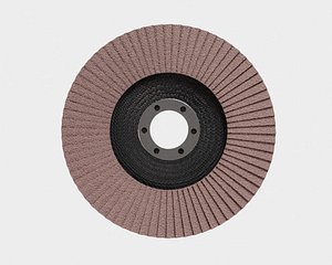 Flap disc