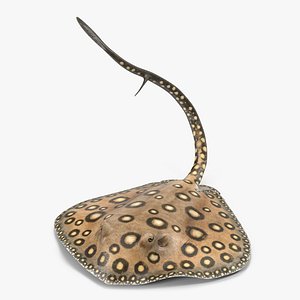 river stingray pose 2 3d model