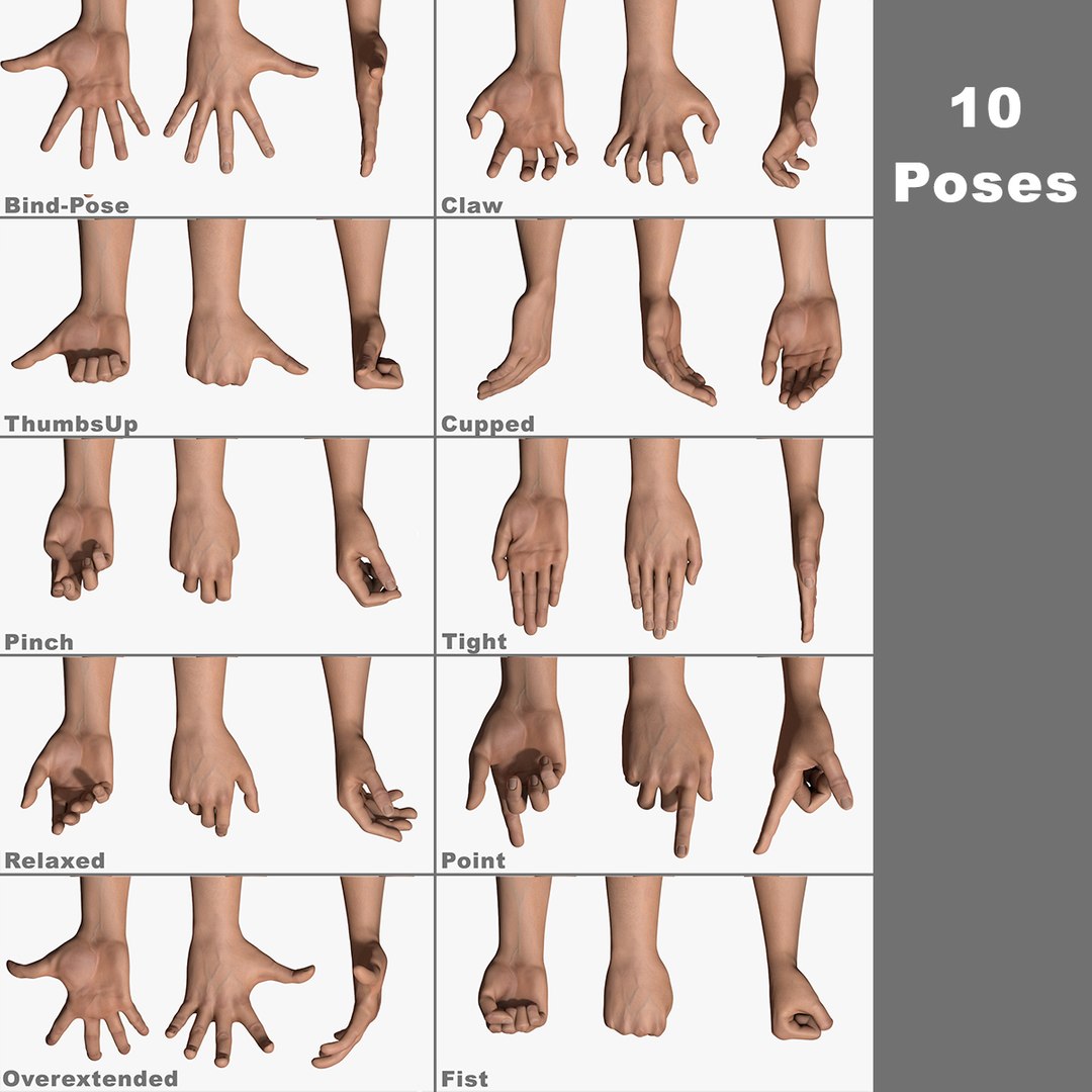手，hand | Hand reference, Hand drawing reference, Hand photo