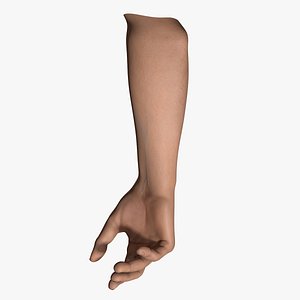 3d hand arm male pose