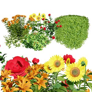 3D outdoor flowering  plants collection
