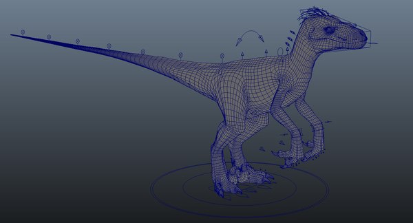 velociraptor 1 animation 3d model