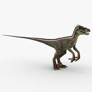velociraptor 1 animation 3d model